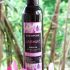 Lavender Oil Kenya